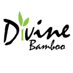 Divine Bamboo Group Limited