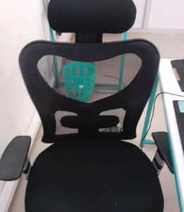 Mesh Rolling Chair With Head Support
